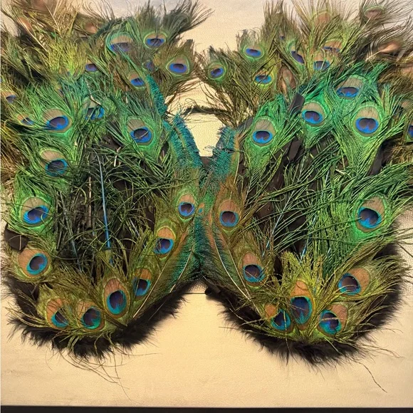 Elegant Peacock Feather wings for Halloween costume or masquerade - Picture 4 of 4